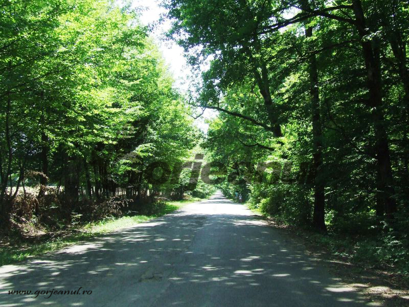 Pe „la poale de Vâlcan”