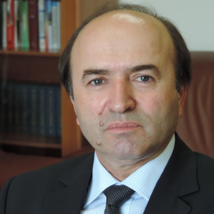 tudorel toader