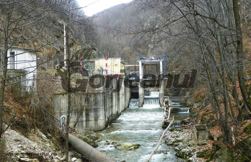 La pas – Pe Șuşiţa Verde în lumea salamandrelor