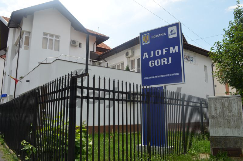 284 de job-uri, vacante în Gorj