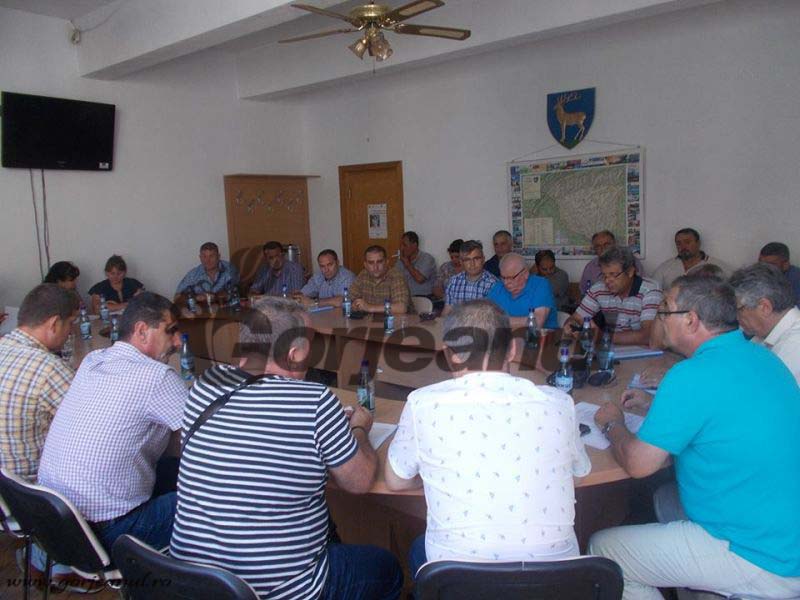 alegeri cnslr fratia (2)