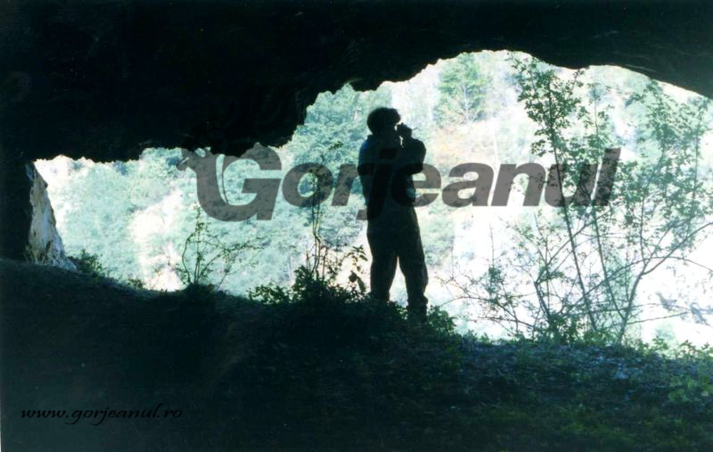 ‘’Oltenia eterna Terra Nova’’ – Umbra Kogaionului