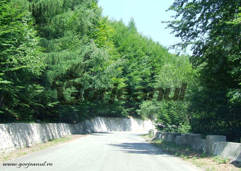 Godeanu în cumpăna verii