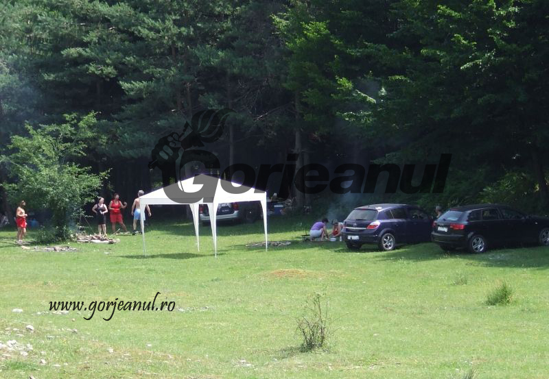 Măsuri transmise de inspectorii sanitar-veterinari pentru evitarea toxiinfecţiilor alimentare