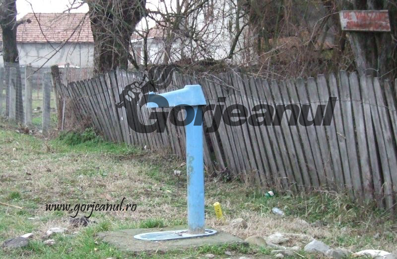 Filozofii estivale – “In vino veritas”