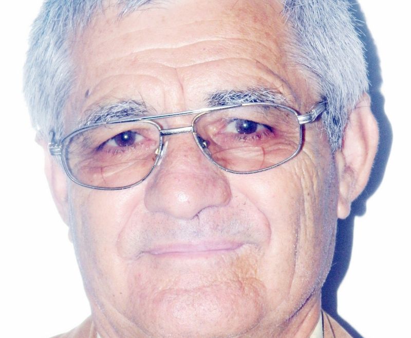 Epigramele lui Vasile Gogonea