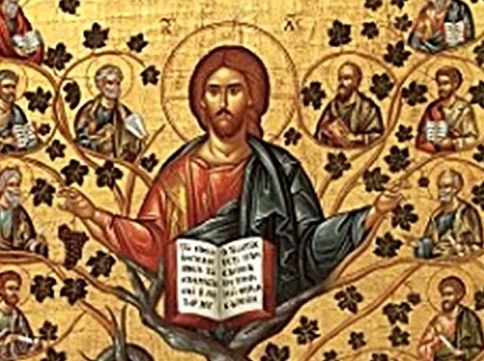 Lumina, şi Adevărul, şi Viaţa – Dumnezeu dăruieşte via Sa celor care îi desăvârşesc rodul