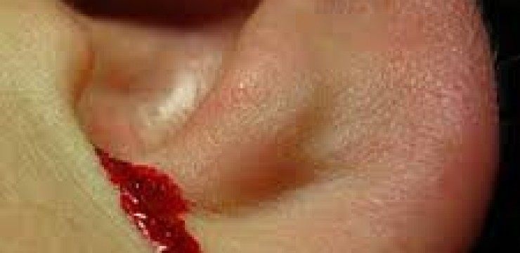 Crima violentă de la Motru are urmări! – Parlamentarii Opoziției au fost puși pe treabă