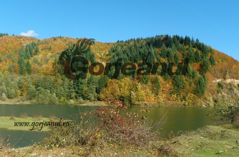 Prin lumea Carstului Gorjean