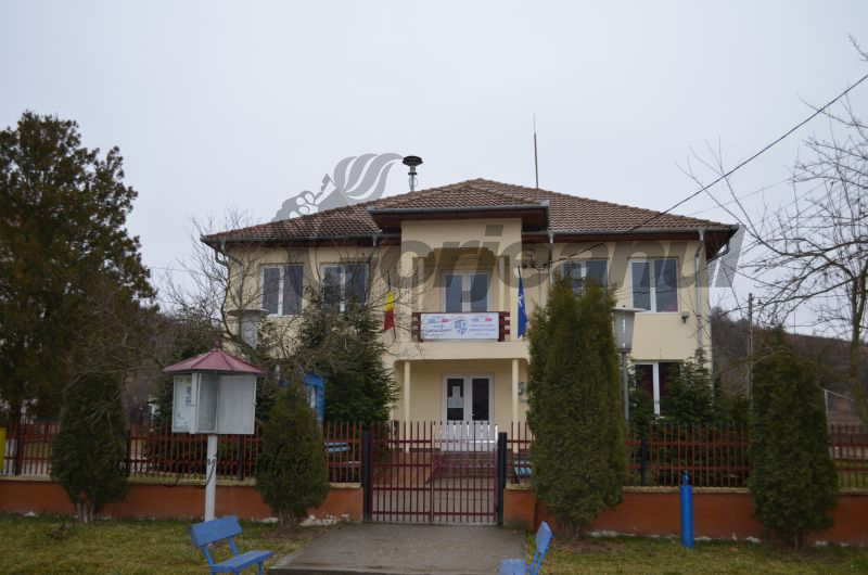 primaria stejari (2)