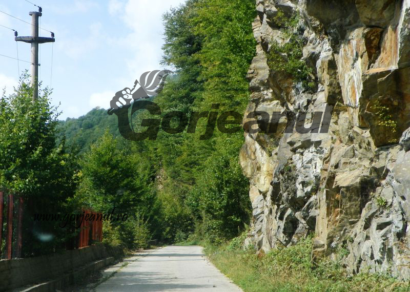 Atitudini estivale – Pe Şuşiţa Verde