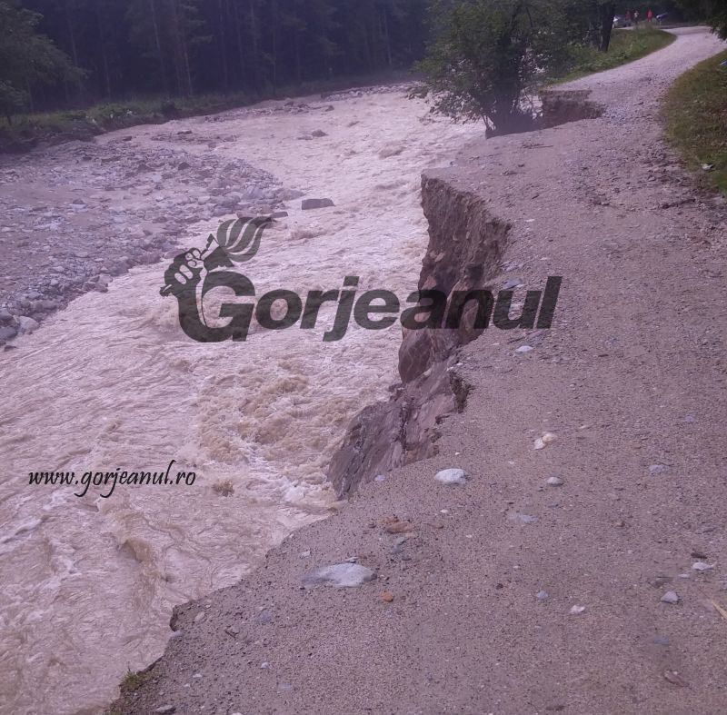 viitura pe oltet (1)