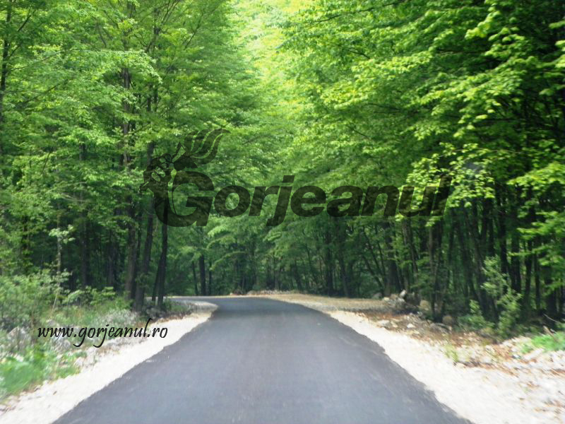 Pe Șuşiţa Seacă spre bordul Dobriţei