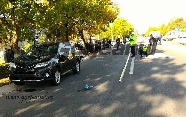 22330900_1702326866493967_47162038_n