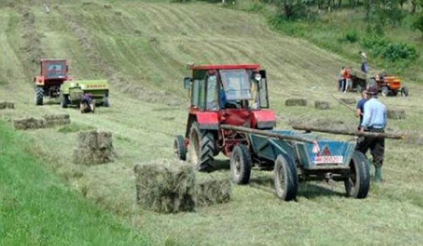 Agricultura pe înţelesul tuturor – Graficul lucrărilor agricole în luna noiembrie