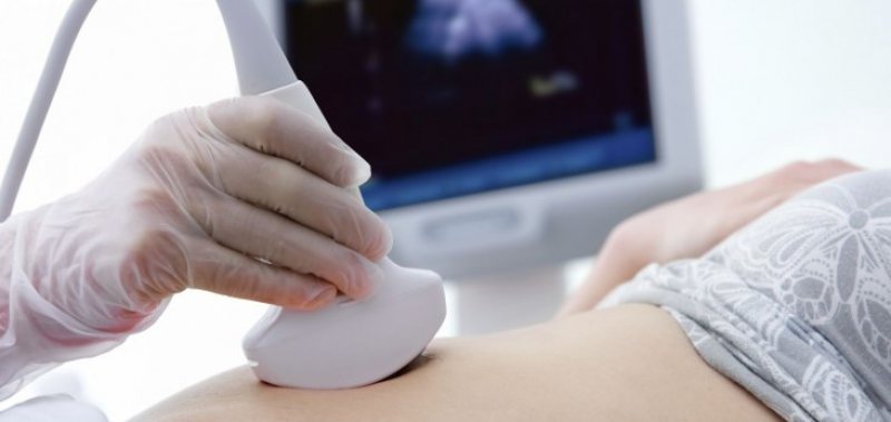 Sute de gorjence şi-au întrerupt sarcinile, în trimestrul II al acestui an