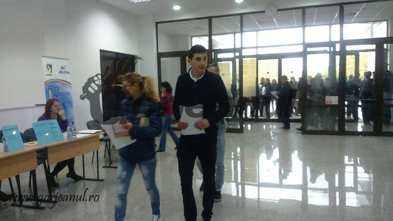 bursa locurilor de munca ucb (7)