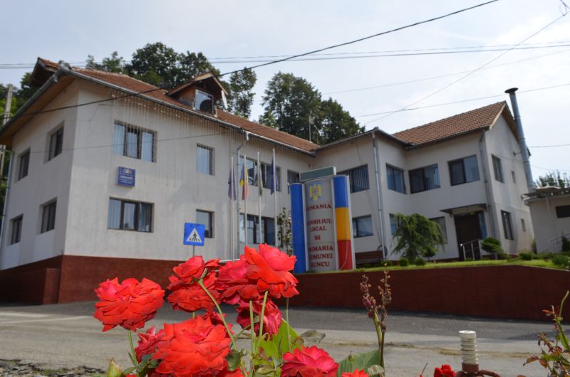 Concurs pe două posturi vacante, la Primăria Runcu