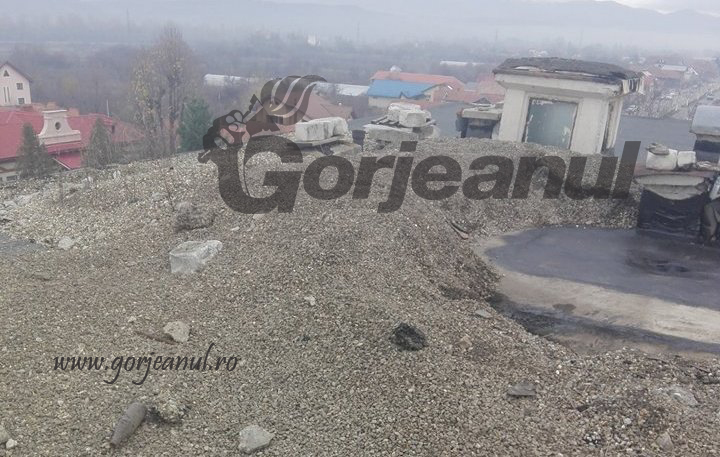 24099734_297019700805829_829345632_n