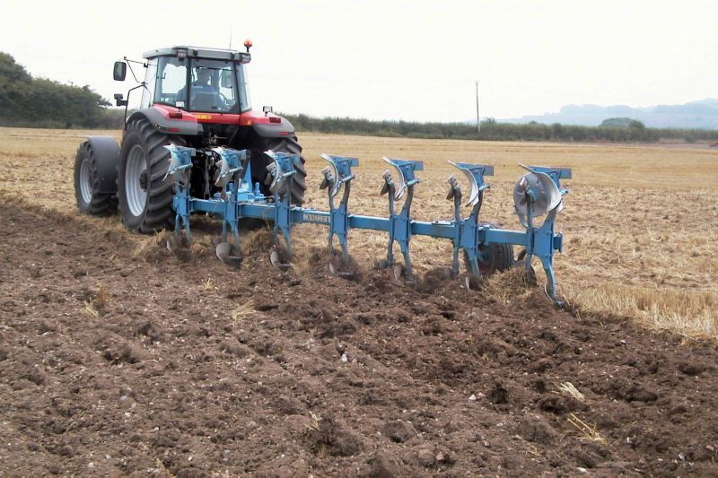 Agricultura pe înţelesul tuturor – Graficul lucrărilor agricole în luna decembrie