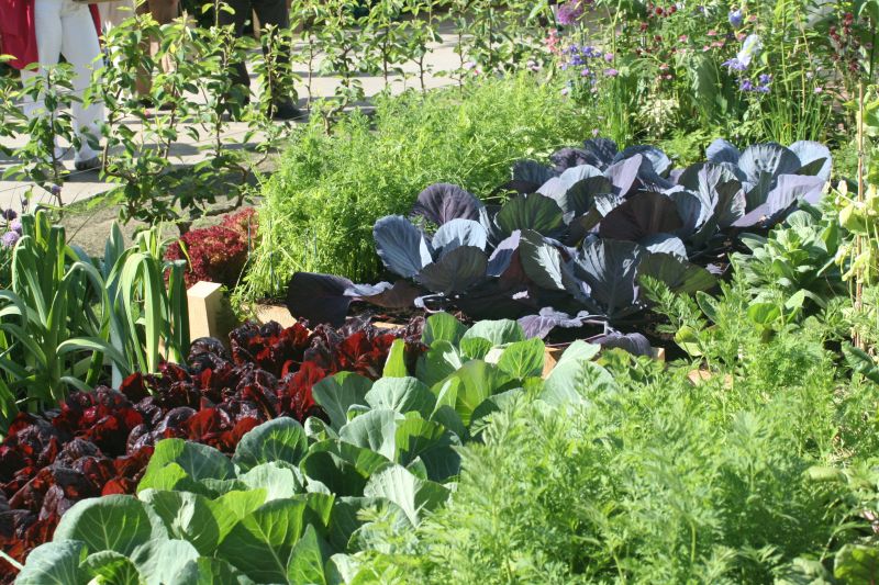 Agricultura pe înţelesul tuturor – Organizarea grădinii de legume (II)