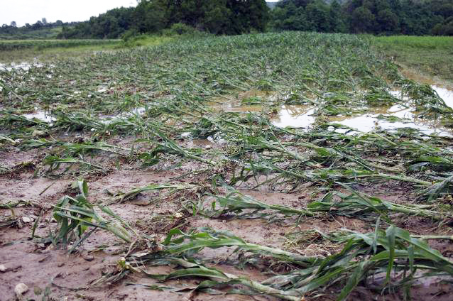 Agricultura pe înțelesul tuturor – Excesul de umiditate din toamnă – iarnă și protejarea culturilor