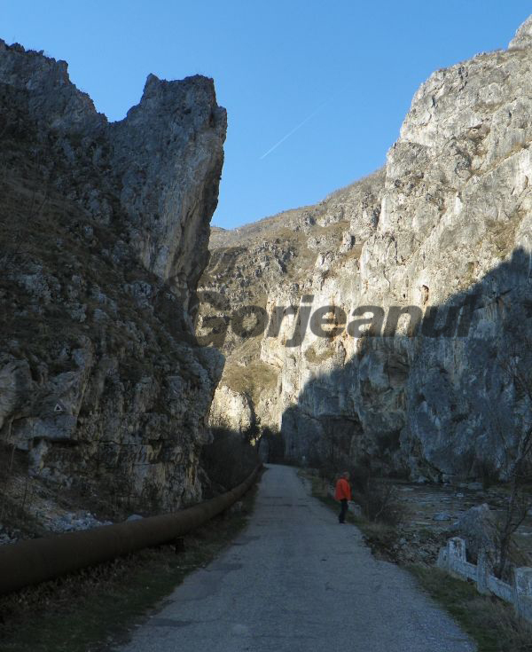 Carstul gorjean în cătarea vremii