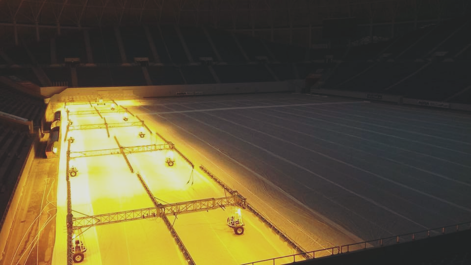 “Reparaţii” la gazon!