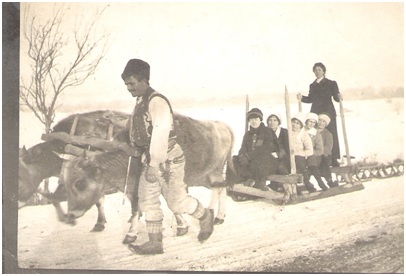 Un raid prin istoria C.A.P. Rășina-Țicleni (II)