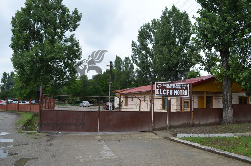 elcfu motru (1)