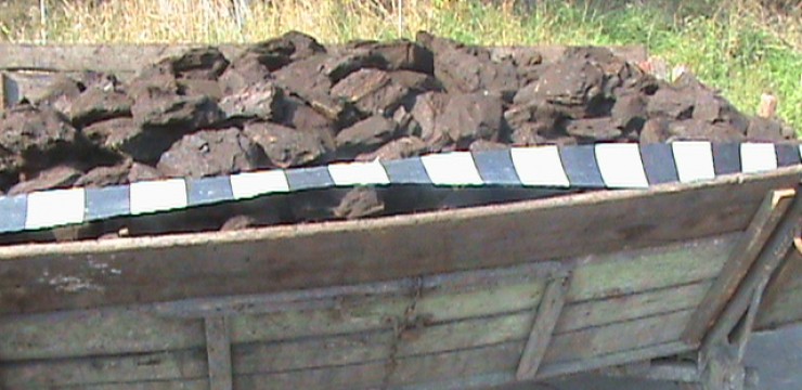 Au furat 600 kg de cărbune cu căruța, de la Cariera Jilț