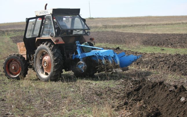 Agricultura pe înțelesul tuturor – Graficul lucrărilor agricole în luna martie
