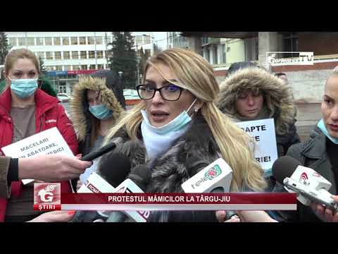 PROTESTUL MĂMICILOR LA TÂRGU-JIU