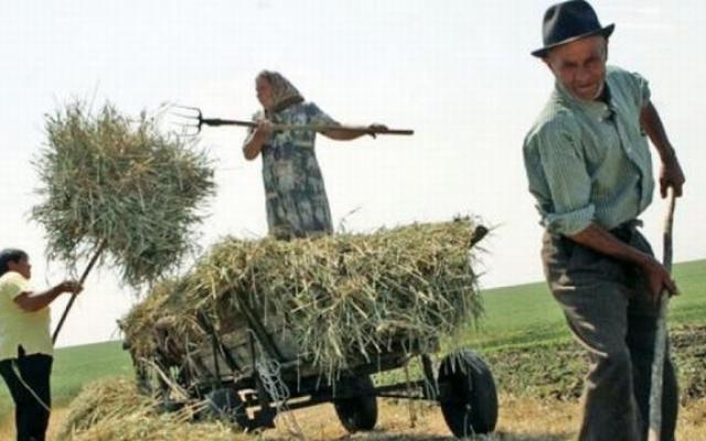 157 de lei, indemnizaţia medie pentru pensionarii agricultori