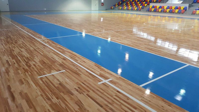 Sala Sporturilor, inaugurată cu ocazia Campionatului European de Box