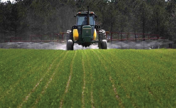 Agricultura pe înțelesul tuturor – Fertilizarea fazială a cerealelor păioase