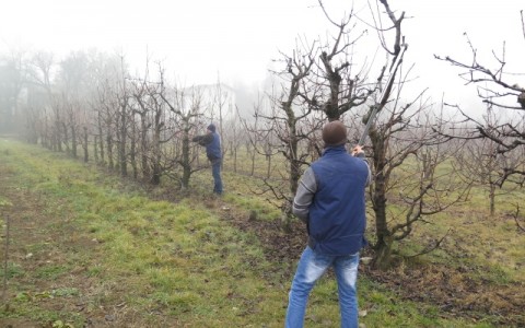 Agricultura pe înțelesul tuturor – Lucrări agricole în repausul vegetativ