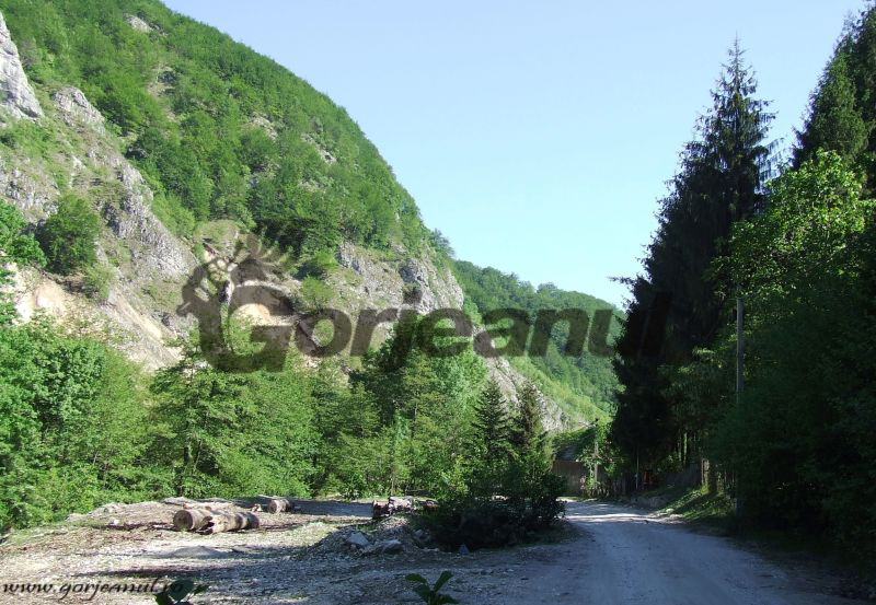 Legende, evocări şi superlative din lumea de piatră a Jiului de Sus(II)