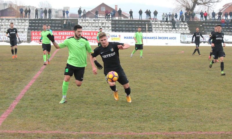 Pandurii speră să dreagă busuiocul acasă