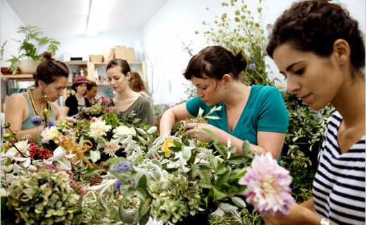 Olanda recrutează muncitori în domeniul floricol