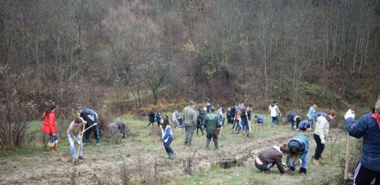 Acţiune de plantare în situl Natura 2000 Prigoria–Bengeşti