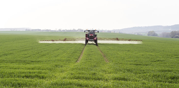 Agricultura pe înțelesul tuturor – Ierbicidarea cerealelor păioase în primăvară ploioasă