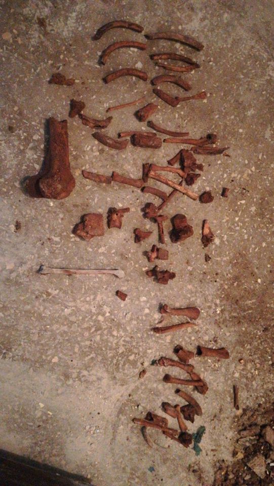 FOTO: Ce spun polițiștii despre oasele găsite într-o garsonieră din Bâlteni