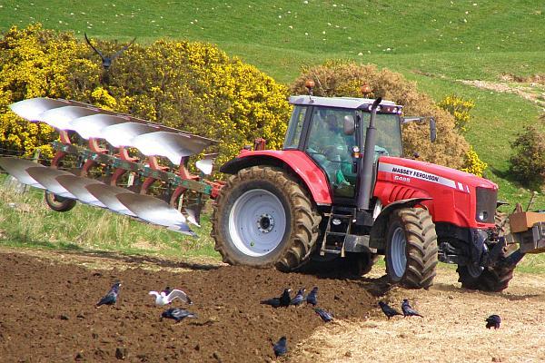 Agricultura pe înțelesul tuturor – Pregătirea patului germinativ în primăvară ploioasă