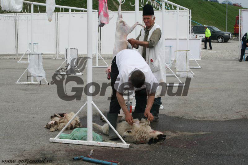 Mai puţini miei, sacrificaţi de Paşte!