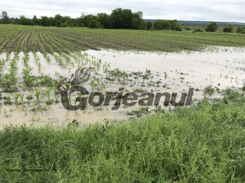 Este COD PORTOCALIU până mâine la prânz!