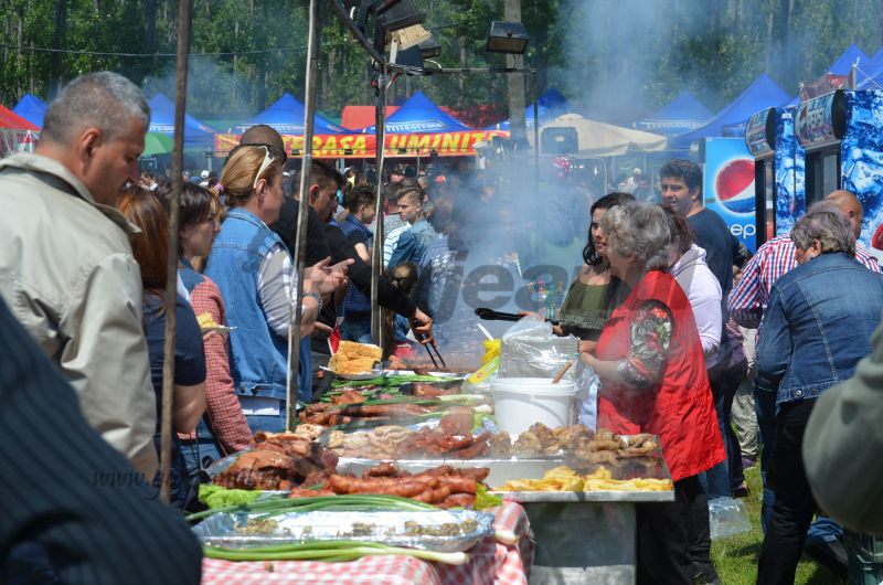 O nouă Sărbătoare a Narciselor, la Preajba