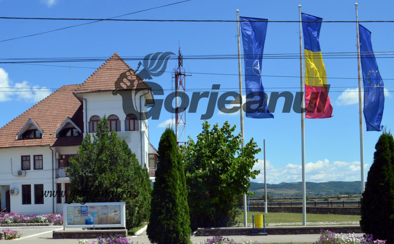 Primăria Turceni recrutează un referent