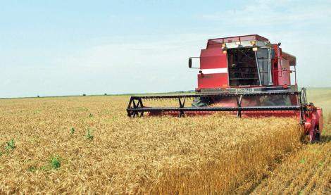 Agricultura pe înțelesul tuturor – Să ne pregătim de recoltat păioasele