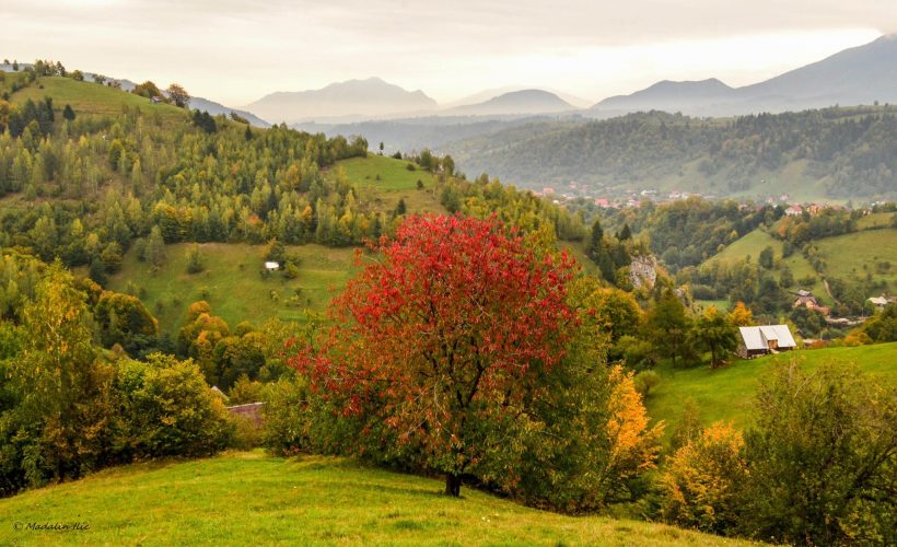 Dorința strămoșilor noștri de a trăi în bună înțelegere și pace cu semințiile acelor vremuri imemorabile (Lecția de istorie)